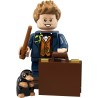 LEGO 71022 17 WIZARDING WORLD SERIE Newt Scamander MINIFIGURE ANIMALI FANTASTICI