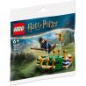 LEGO 30651 - HARRY POTTER QUIDDITCH PRACTICE