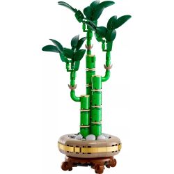 LEGO 10344 BOTANICALS BAMBÙ DEL BUON AUSPICIO GENNAIO 2024 2025 2026 2027