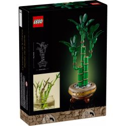 LEGO 10344 BOTANICALS BAMBÙ DEL BUON AUSPICIO GENNAIO 2024 2025 2026 2027