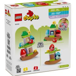 LEGO 10440 DUPLO  L’ALBERO DELL’EQUILIBRIO GENNAIO 2025