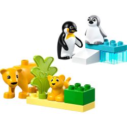 LEGO 10442 DUPLO  FAMIGLIE DI ANIMALI: PINGUINI E LEONI GENNAIO 2025