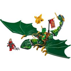 LEGO 71829 NINJAGO DRAGO DELLA FORESTA VERDE DI LLOYD GENNAIO 2025